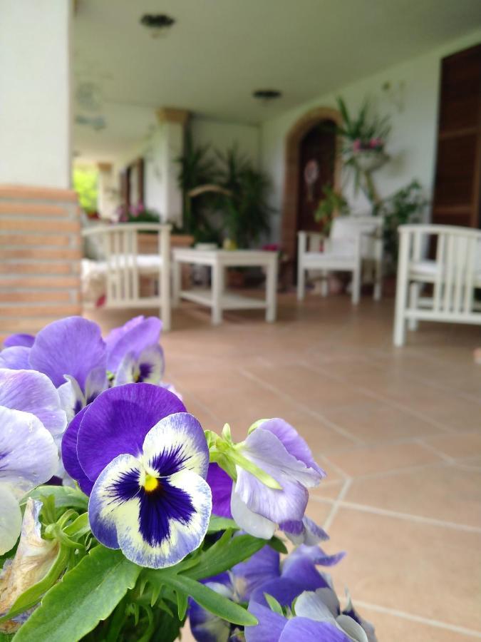 B&B Il Cantico Greccio Exterior photo